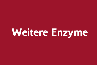 Weitere Enzyme